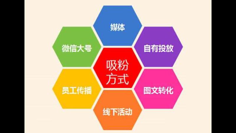 全网营销：中小企业主的避坑指南
