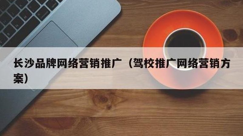 网站整站优化参数调整：关键要素与实操指南