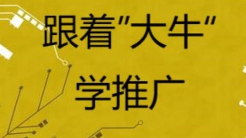 整站优化：价格背后的价值考量